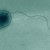 Transmission electron micrograph showing the general cell morphology of Methylobacterium jeotgali. Image credit: Aslam et al., doi: 10.1099/ijs.0.64625-0.